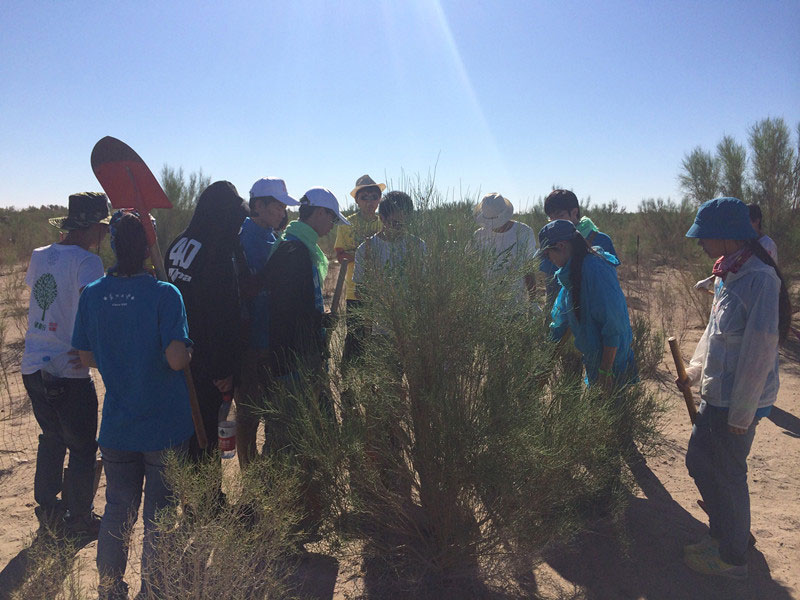 ������Ҫ��һ���ļ��ɺͽ�(j��ng)�(y��n)��ͬ�W(xu��)���_(k��i)ʼ������һƬ�����ַ��ز����^�m(x��)�����[�ص�����