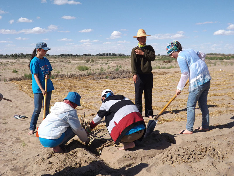 �@�N1.5��Ҋ�������ݸ�������ɳЧ����������^4��5���͕��L�g��������Ҫ�����a����