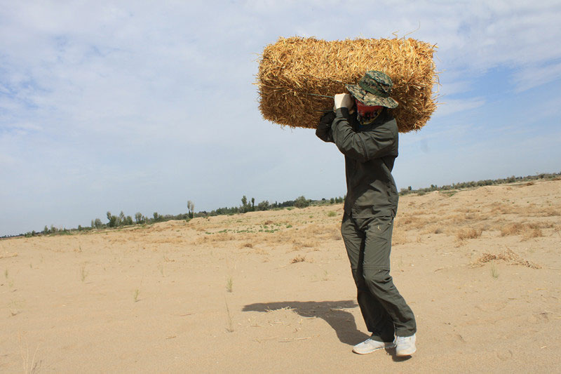 �F(tu��n)�T���i�������ݣ����ϳ����������������؟(z��)����