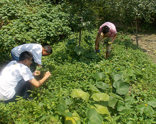 �ڶ��죬�(du��)�T���_ʼ�������B(t��i)�r(n��ng)���w�(y��n)�r(n��ng)��������������ժ�ˡ�