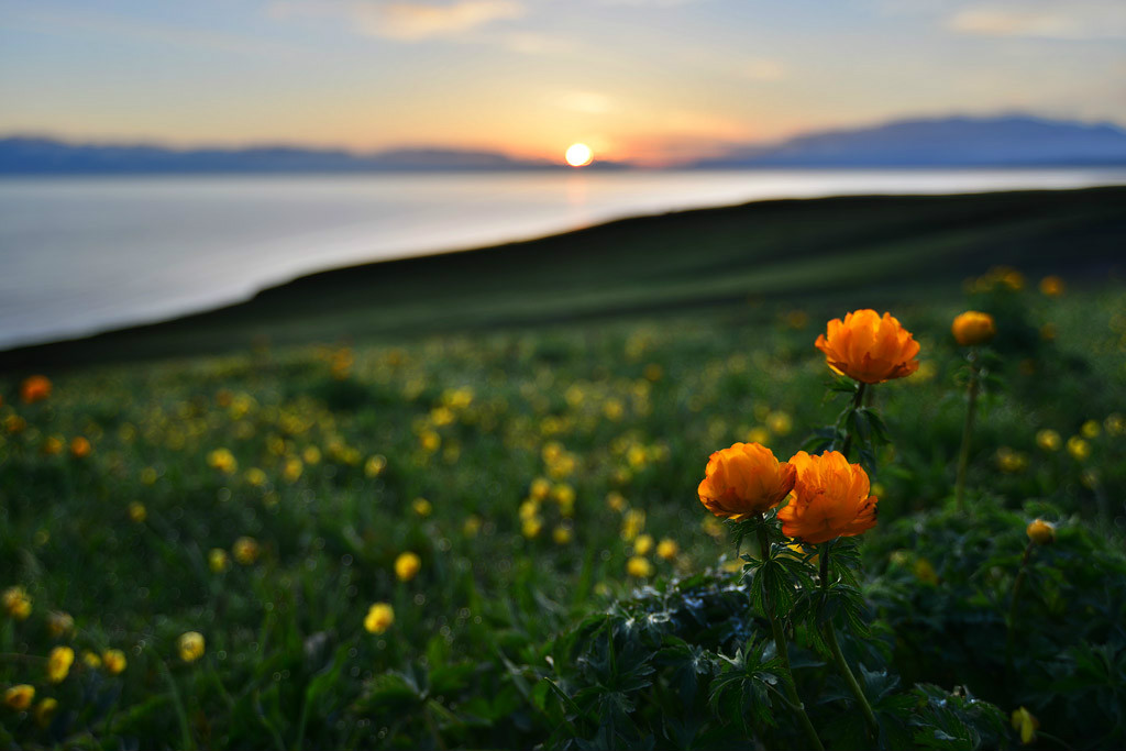 ���(hu��)�����l(xi��ng)�ĸ����