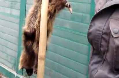 Ұ����(d��ng)�ﱻ���̵�����u(m��i)