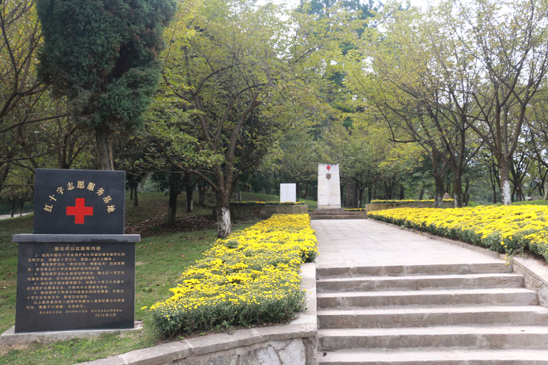 �Ї��tʮ�֕����o(h��)���(du��)�D���P(gu��n)