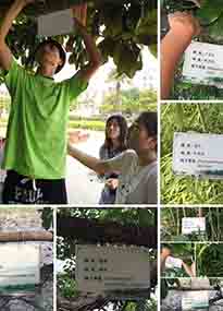 �K���r(n��ng)�W(xu��)Ժ�O(sh��)ӋУ�@ֲ����Ƭ�������K�r(n��ng)�Gɫ���}