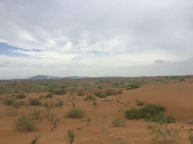 �v����ɳĮ�޾W(w��ng)������ݷ����ﲼ�M�[�d��ɳ��ֲ����