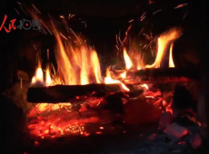 �t��t����~����������ʳ���ρ�