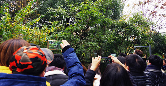 �@�����ӵ������ɶ����W(w��ng)�j(lu��)���ˁ��c(di��n)ٝ