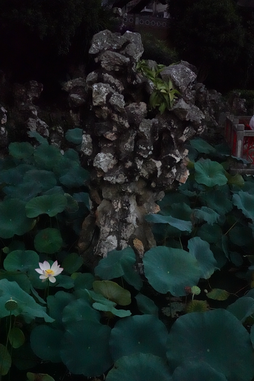 盧廉若公園的假山石。人民網(wǎng) 唐佳 攝