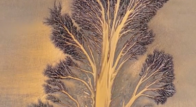 大自然的杰作！錢(qián)塘江又現(xiàn)“潮汐樹(shù)”