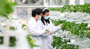 上海:實(shí)訓(xùn)基地學(xué)“智慧農(nóng)業(yè)”